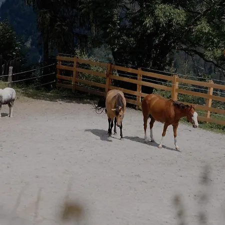 Bauerndoerfl Vakantieboerderij Hüttschlag