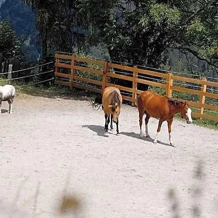 Séjour à la ferme Bauerndoerfl Hüttschlag