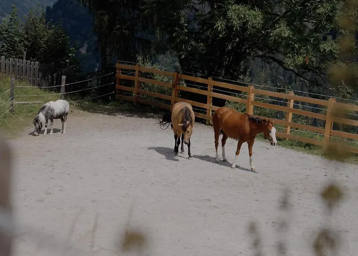 Bauerndoerfl Vakantieboerderij Hüttschlag